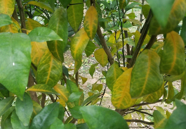 微信截图_20201027101215.png